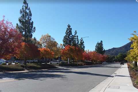 More Local Fall Color