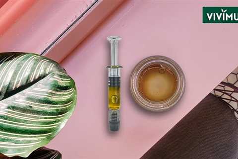 What is CBN Distillate: An Ultimate Guide