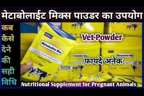 Metabolite Mix Powder||Nutritional Supplement of Specific Minerals & Vitamin for Pregnant Animals