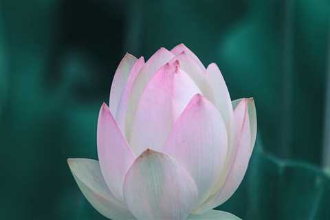 The Impact of Stress on Your Spiritual Wellbeing