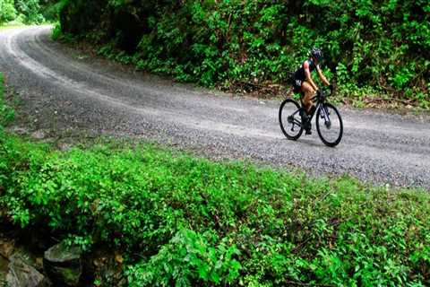 Exploring the Best Road Biking Routes in South Carolina