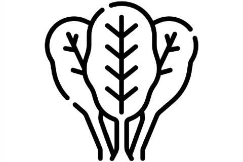 Good Sex with Emily Jamea: Body Image and Sex