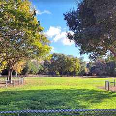 Gorgeous Day After The Rain