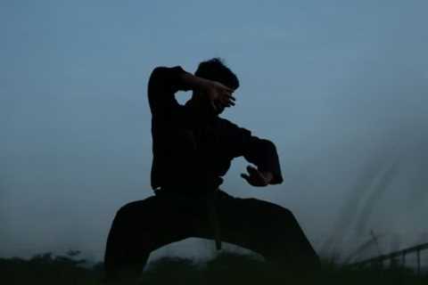 The Art in Martial Arts