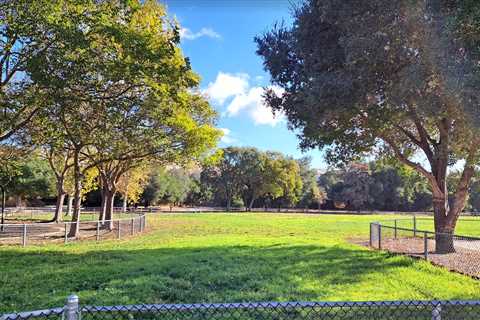 Gorgeous Day After The Rain