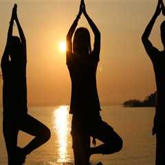 When was national yoga day celebrated?