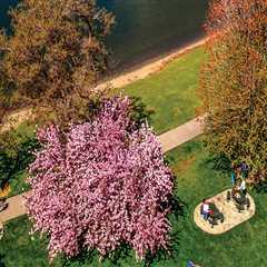 The Growing Popularity of Wellness Events in Pasco, Washington: A Guide to Purchasing Tickets at..