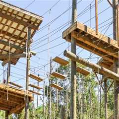 Exploring the Best Public Sports Facilities in Leon County, Florida