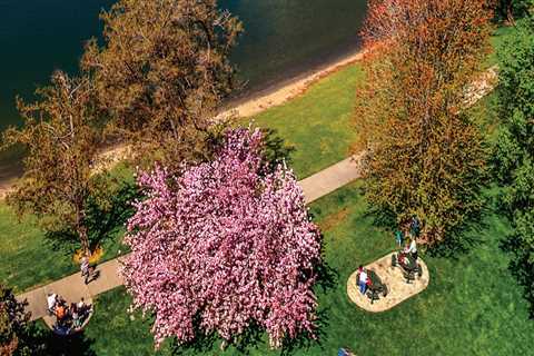 The Growing Popularity of Wellness Events in Pasco, Washington: A Guide to Purchasing Tickets at..