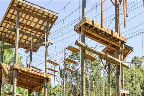 Exploring the Best Public Sports Facilities in Leon County, Florida