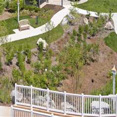 The Ultimate Guide to Community-Based Wellness Programs in McLean, Virginia