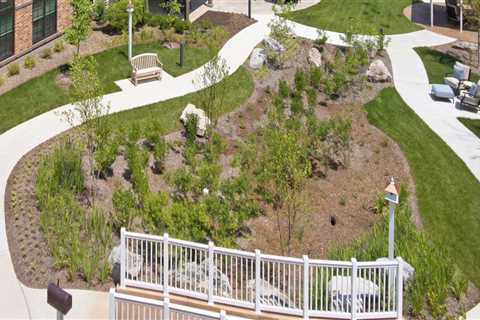 The Ultimate Guide to Community-Based Wellness Programs in McLean, Virginia